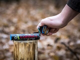 Minderjarige jongens raken hand kwijt na afsteken Cobra's