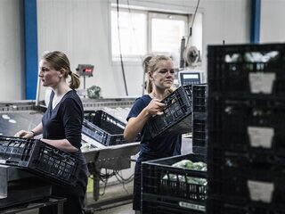 Werkloosheid onder jongeren flink gedaald