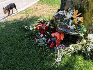 Het OM krijgt nieuwe camerabeelden van mishandelingen op Mallorca