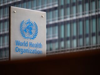 WHO: apenpokken is internationaal gevaar voor volksgezondheid