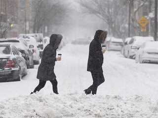 Weerdienst in Florida waarschuwt voor vallende leguanen door sneeuwstorm
