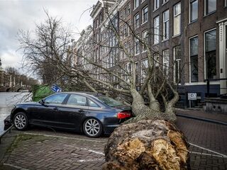 KNMI kondigt landelijk code geel aan: zware windstoten tot 110 kilometer per uur