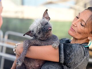 Chinese naakthond Mr. Happy Face verkozen tot lelijkste hond ter wereld