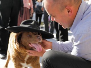 De oudste hond ter wereld viert vandaag zijn 31ste verjaardag