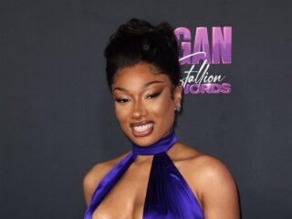 Megan Thee Stallion is Youtuber zat en sleept hem voor de rechter na vermeende pesterijen