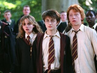 Vies 'Harry Potter'-kostuum uit tweede film geveild voor 80.000 pond