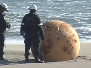 Japanners in de ban van mysterieuze bal die is aangespoeld op strand