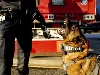 Buitensporig geweld bij inzet politiehonden: agenten niet gebonden aan regels