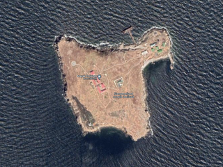 Oekraïense grenswachten Slangeneiland blijken nog in leven