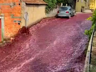 600.000 liter rode wijn stroomt door Portugese stad