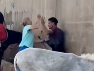 Internet gaat los om Nederlandse vrouw die Egyptische man slaat om ezelmishandeling