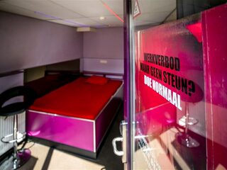 Sekswerkers demonstreren dinsdag met 'peepshow op wielen' in Den Haag