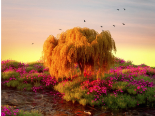 Antoon en Ronnie Flex de DiXte met 'Sliden'