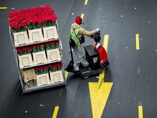 Valentijnsdag: 'commerciële onzin', maar waarom vieren we het tóch?