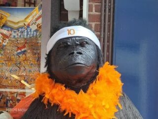Bizar: winkel in Hoorn beeldt Memphis Depay uit als gorilla