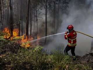 Op meerdere plekken in Zuid-Europa toeristen geëvacueerd wegens bosbranden