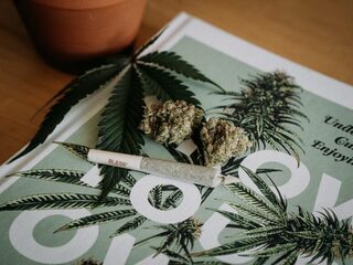 Onderzoek: 'Cannabis kan corona-infectie voorkomen'
