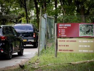 Jongen (17) aangevallen door cheeta in Safaripark Beekse Bergen