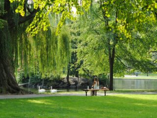 Hoorn in shock: Verkrachting van vrouw gefilmd op klaarlichte dag