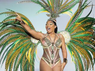 Megan Thee Stallion biedt fans hulp bij mentale problemen via website
