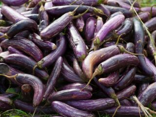 Penisbreuken komen meer voor rond de feestdagen volgens Duits onderzoek