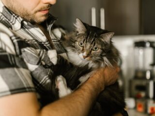 Valentijnsdag tip: vernoem je ex naar een gecastreerde kat