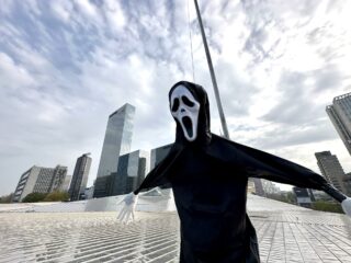 Vogelverschrikkers met 'Scream'-maskers tegen meeuwen bij station Rotterdam