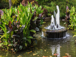 Brits koppel ontdekt standbeeld van 9,5 miljoen euro in voortuin