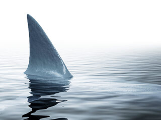 Scholieren binden dode haai aan dak van school