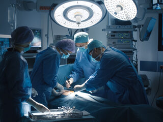 Chirurgen in New York plaatsen met succes varkensnier bij patiënt