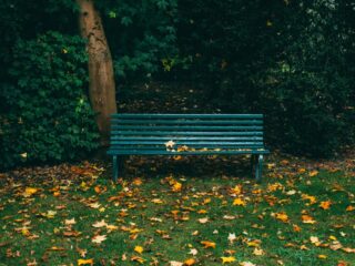 Vijf tieners veroordeeld voor gruwelijke groepsverkrachting dakloze vrouw in Helmond