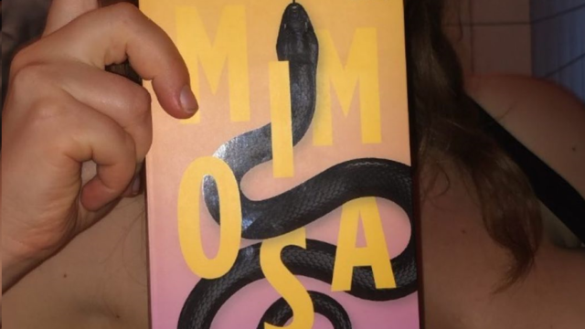 Ophef om "racistisch en stereotyperend" boek 'Mimosa' van Mette Mari