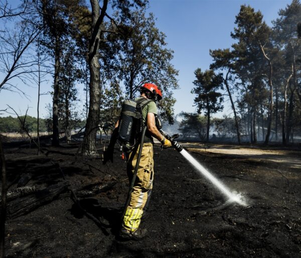 Heb jij het koelste idee van Nederland?