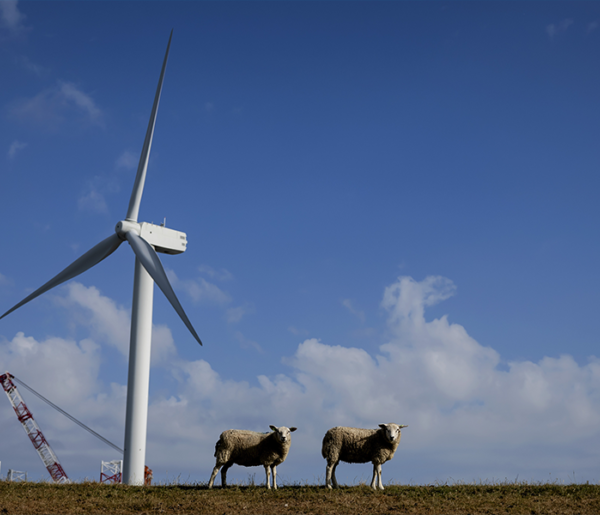 De gemeenteraadsverkiezingen: wel of geen windmolens in mijn gemeente?