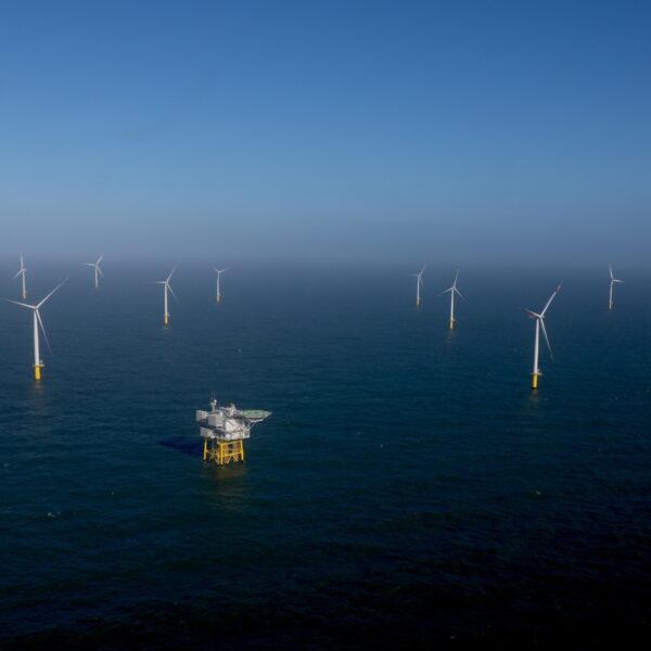 Is een windmolenpark op zee slecht voor vissen?