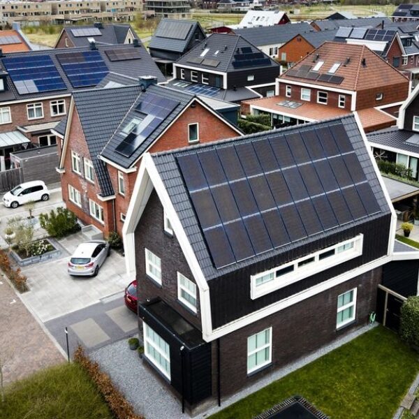 Meerderheid Nederlanders wil aanpak klimaatverandering, maar er is weinig vertrouwen in het kabinet