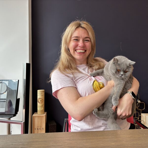 De koffer van Lisa Loeb (komiek)