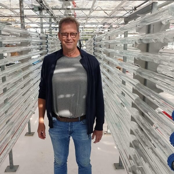 Algen als proteïnen: veganistische algenmelk de toekomst?