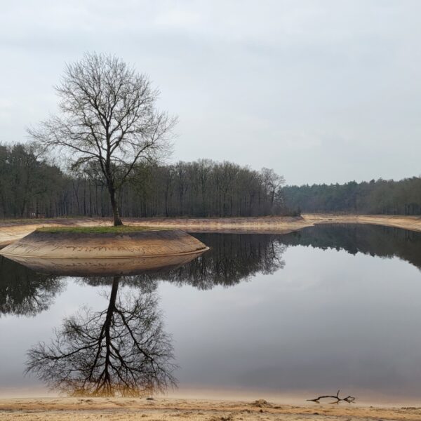 Stuk van de A27 werd omgetoverd tot een prachtig natuurgebied