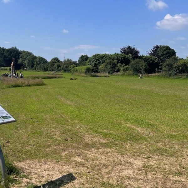 IVN-jeugd bedenkt inrichting natuurgebied