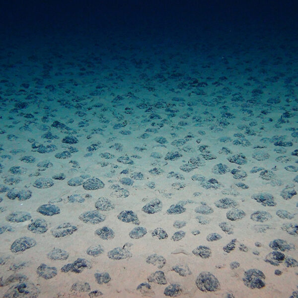 Podcast Kennis & Co: Mogen we de diepzee slopen voor onze autobatterijen?