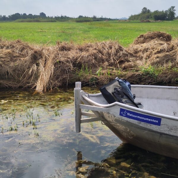 Bootvaarders opgelet: gooi planten uit de schroef niet terug in het water