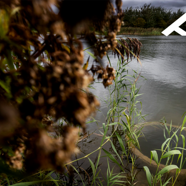 Veel meer PFAS in pesticiden: grote zorgen om drinkwater