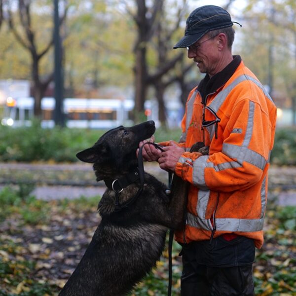 Speurhond Dora beschermt de iepen van Amsterdam