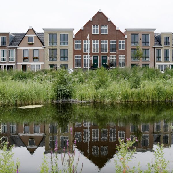 Hoe verloopt het proces van steden hittebestendig maken?