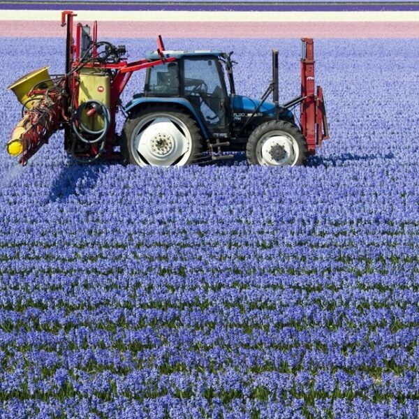 Cocktail aan gifstoffen gemeten in de lucht bij Drentse basisschool