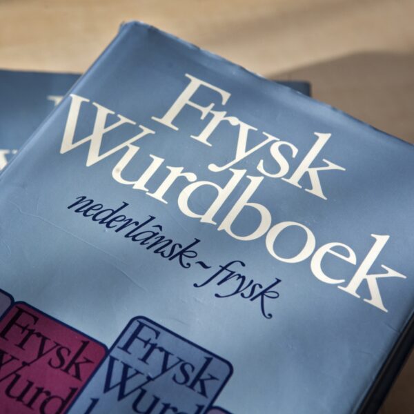 Waarom zijn er in Nederland zoveel dialecten?