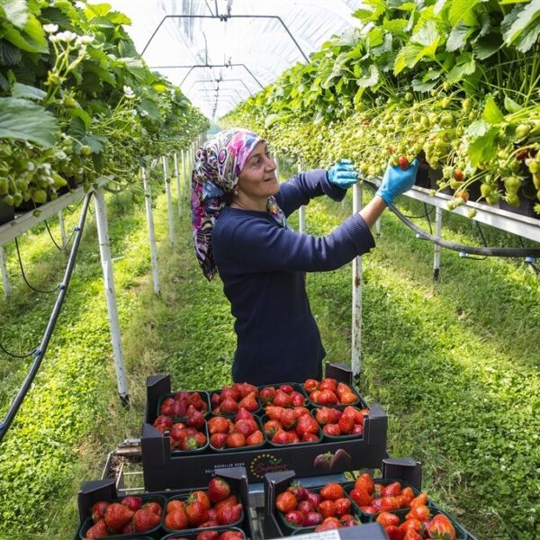 Arbeidsmigranten zijn hard nodig, maar huisvestingskwestie vraagt om landelijk beleid