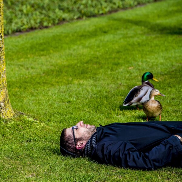 Hoe krijg je meer vogels in je tuin?