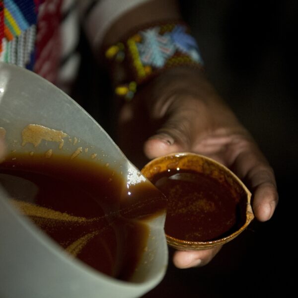 Podcast De Dag: ayahuasca-thee, een goed idee?